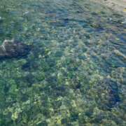 ヒメ日記 2025/01/31 20:30 投稿 るり ○コキクリニック~○○クリニックシリーズ~