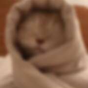 ヒメ日記 2025/12/06 03:00 投稿 るり ○コキクリニック～○○クリニックシリーズ～