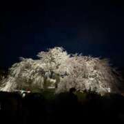 ヒメ日記 2025/04/08 16:19 投稿 あずさ 東京エステコレクション 新橋・銀座