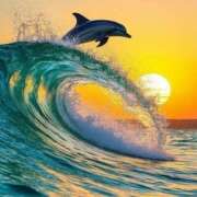 ヒメ日記 2025/08/05 19:42 投稿 あんず Hip's-group越谷本店