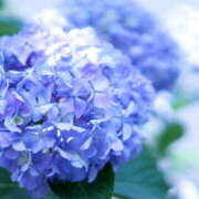 ヒメ日記 2025/06/21 13:42 投稿 のぞみ Hip's-group越谷本店