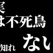 ヒメ日記 2024/11/17 08:30 投稿 めばえ 清楚