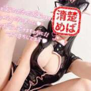 ヒメ日記 2024/12/31 00:06 投稿 めばえ 清楚