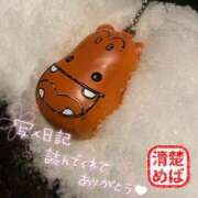 ヒメ日記 2026/02/08 19:18 投稿 めばえ 清楚