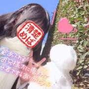 ヒメ日記 2026/02/10 07:01 投稿 めばえ 清楚