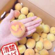ヒメ日記 2026/06/16 21:03 投稿 めばえ 清楚