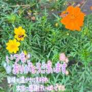 ヒメ日記 2026/10/07 11:34 投稿 めばえ 清楚