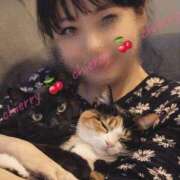 ちえり お猫様の下僕どもよ立ち上がれ(再) 角海老石亭