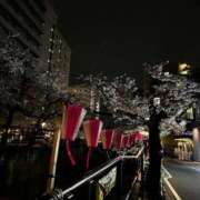 れい お花見🌸 THE ESUTE 五反田店