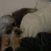 ヒメ日記 2024/12/12 00:46 投稿 せいら チェックイン横浜女学園