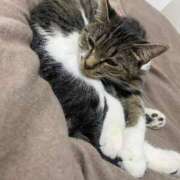 ヒメ日記 2024/12/12 10:15 投稿 せいら チェックイン横浜女学園