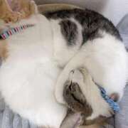 ヒメ日記 2024/12/14 13:11 投稿 せいら チェックイン横浜女学園