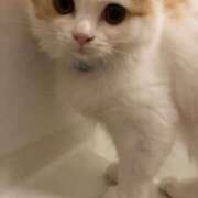 ヒメ日記 2024/12/15 11:56 投稿 せいら チェックイン横浜女学園