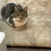 ヒメ日記 2024/12/25 09:52 投稿 せいら チェックイン横浜女学園