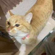 ヒメ日記 2025/01/20 12:15 投稿 せいら チェックイン横浜女学園