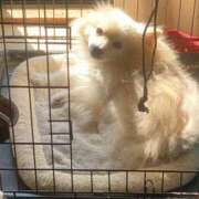 ヒメ日記 2025/01/23 15:02 投稿 せいら チェックイン横浜女学園