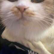 ヒメ日記 2025/01/24 14:27 投稿 せいら チェックイン横浜女学園