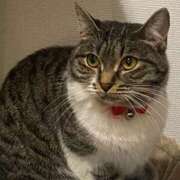 ヒメ日記 2025/01/25 15:23 投稿 せいら チェックイン横浜女学園