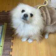 ヒメ日記 2025/02/06 12:11 投稿 せいら チェックイン横浜女学園