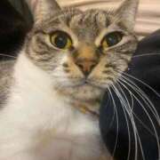 ヒメ日記 2025/02/11 00:24 投稿 せいら チェックイン横浜女学園