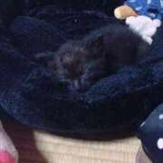 ヒメ日記 2025/02/12 14:08 投稿 せいら チェックイン横浜女学園