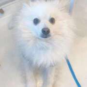 ヒメ日記 2025/02/13 05:37 投稿 せいら チェックイン横浜女学園