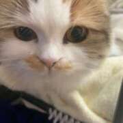 ヒメ日記 2025/02/13 14:00 投稿 せいら チェックイン横浜女学園