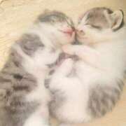 ヒメ日記 2025/02/14 14:59 投稿 せいら チェックイン横浜女学園