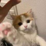 ヒメ日記 2025/02/19 13:15 投稿 せいら チェックイン横浜女学園