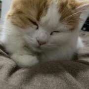 ヒメ日記 2025/02/20 10:11 投稿 せいら チェックイン横浜女学園