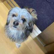 ヒメ日記 2025/02/20 21:23 投稿 せいら チェックイン横浜女学園