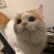 ヒメ日記 2025/02/21 13:06 投稿 せいら チェックイン横浜女学園