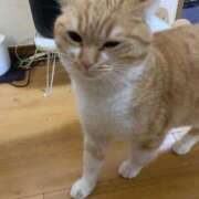 ヒメ日記 2025/02/28 14:09 投稿 せいら チェックイン横浜女学園