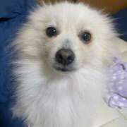 ヒメ日記 2025/03/04 11:40 投稿 せいら チェックイン横浜女学園