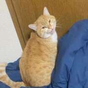 ヒメ日記 2025/03/04 18:17 投稿 せいら チェックイン横浜女学園