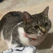 ヒメ日記 2025/03/05 15:11 投稿 せいら チェックイン横浜女学園