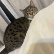 ヒメ日記 2025/03/07 14:01 投稿 せいら チェックイン横浜女学園