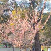 ヒメ日記 2025/03/10 10:10 投稿 せいら チェックイン横浜女学園