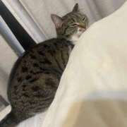 ヒメ日記 2025/03/11 07:49 投稿 せいら チェックイン横浜女学園