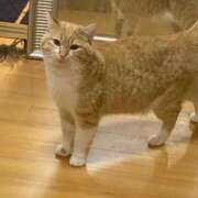 ヒメ日記 2025/03/14 10:01 投稿 せいら チェックイン横浜女学園