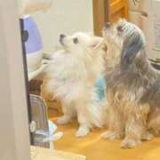 ヒメ日記 2025/03/15 10:06 投稿 せいら チェックイン横浜女学園