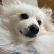 ヒメ日記 2025/04/11 10:16 投稿 せいら チェックイン横浜女学園