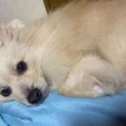 ヒメ日記 2025/05/05 09:42 投稿 せいら チェックイン横浜女学園