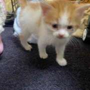 ヒメ日記 2025/05/09 12:36 投稿 せいら チェックイン横浜女学園