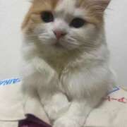 ヒメ日記 2025/05/12 10:03 投稿 せいら チェックイン横浜女学園