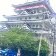 ヒメ日記 2025/05/19 10:50 投稿 せいら チェックイン横浜女学園