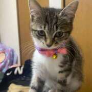 ヒメ日記 2025/05/20 11:02 投稿 せいら チェックイン横浜女学園