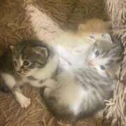 ヒメ日記 2025/05/21 10:09 投稿 せいら チェックイン横浜女学園