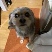 ヒメ日記 2025/05/23 10:44 投稿 せいら チェックイン横浜女学園