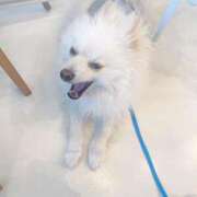 ヒメ日記 2025/05/30 10:11 投稿 せいら チェックイン横浜女学園